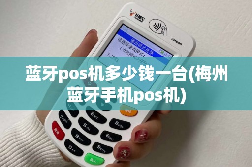 蓝牙pos机多少钱一台(梅州蓝牙手机pos机)