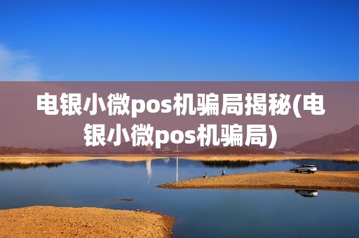 电银小微pos机骗局揭秘(电银小微pos机骗局)