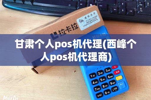 甘肃个人pos机代理(西峰个人pos机代理商)