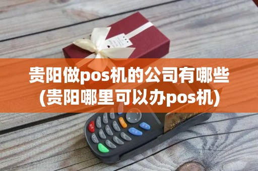 贵阳做pos机的公司有哪些(贵阳哪里可以办pos机)