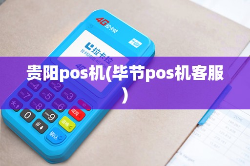 贵阳pos机(毕节pos机客服)
