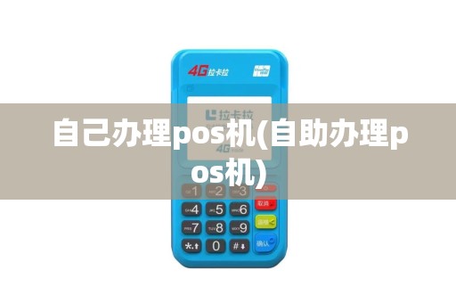 自己办理pos机(自助办理pos机)