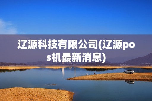 辽源科技有限公司(辽源pos机最新消息)