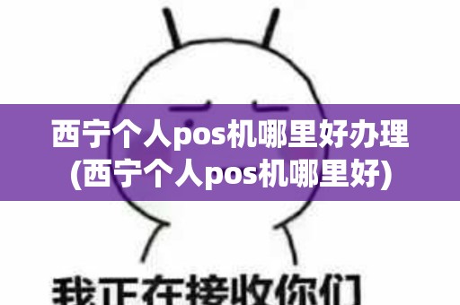 西宁个人pos机哪里好办理(西宁个人pos机哪里好)