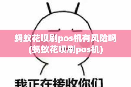 蚂蚁花呗刷pos机有风险吗(蚂蚁花呗刷pos机)