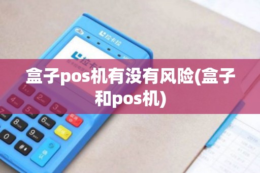 盒子pos机有没有风险(盒子和pos机)