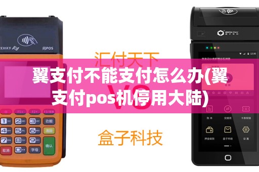 翼支付不能支付怎么办(翼支付pos机停用大陆)
