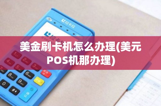 美金刷卡机怎么办理(美元POS机那办理)