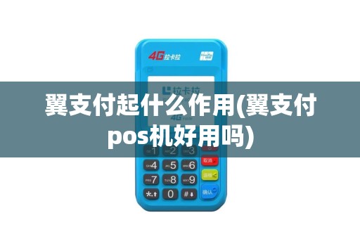 翼支付起什么作用(翼支付pos机好用吗)
