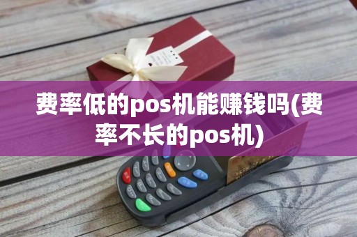 费率低的pos机能赚钱吗(费率不长的pos机)