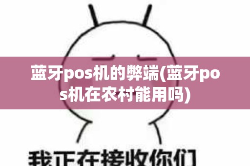 蓝牙pos机的弊端(蓝牙pos机在农村能用吗)