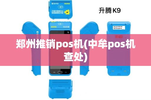 郑州推销pos机(中牟pos机查处)