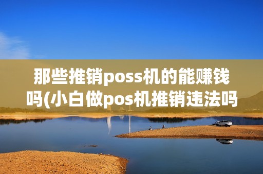 那些推销poss机的能赚钱吗(小白做pos机推销违法吗)