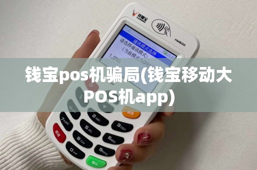 钱宝pos机骗局(钱宝移动大POS机app)