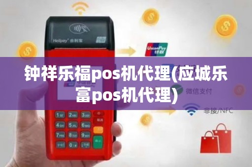 钟祥乐福pos机代理(应城乐富pos机代理)
