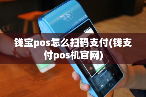 钱宝pos怎么扫码支付(钱支付pos机官网)