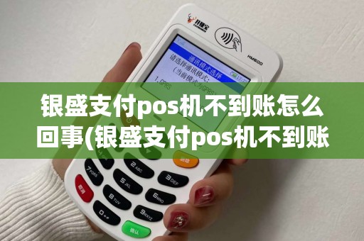 银盛支付pos机不到账怎么回事(银盛支付pos机不到账)