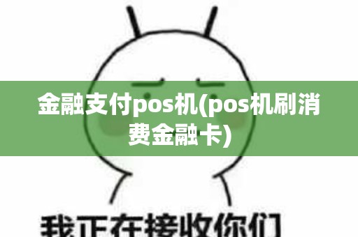 金融支付pos机(pos机刷消费金融卡)