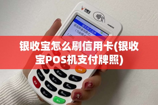 银收宝怎么刷信用卡(银收宝POS机支付牌照)