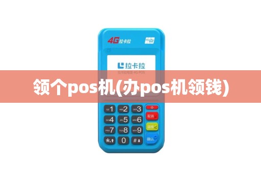 领个pos机(办pos机领钱)