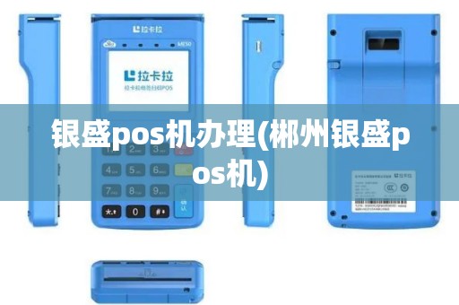 银盛pos机办理(郴州银盛pos机)