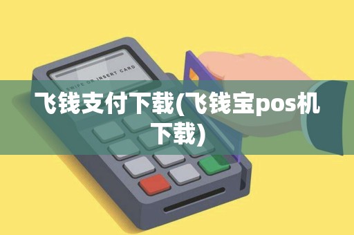 飞钱支付下载(飞钱宝pos机下载)