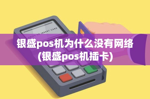 银盛pos机为什么没有网络(银盛pos机插卡)