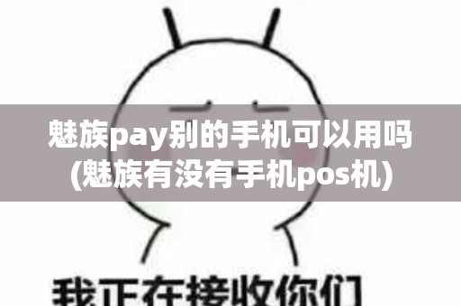魅族pay别的手机可以用吗(魅族有没有手机pos机)