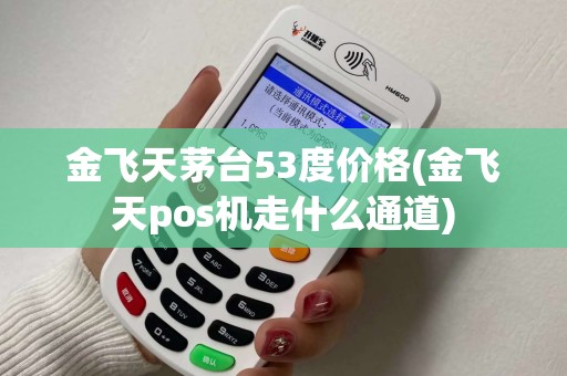 金飞天茅台53度价格(金飞天pos机走什么通道)