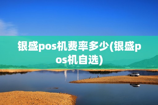 银盛pos机费率多少(银盛pos机自选)