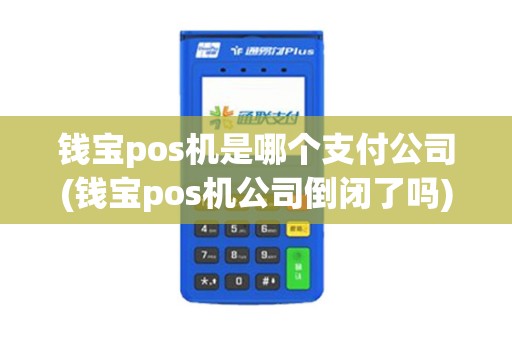 钱宝pos机是哪个支付公司(钱宝pos机公司倒闭了吗)