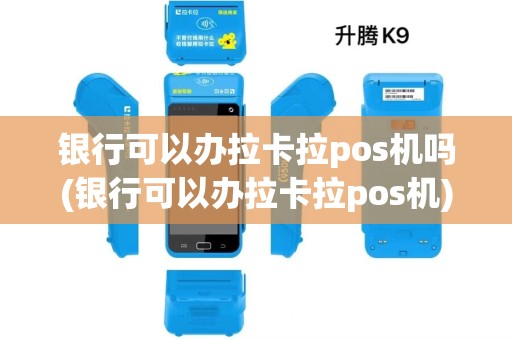银行可以办拉卡拉pos机吗(银行可以办拉卡拉pos机)