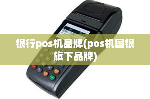 银行pos机品牌(pos机国银旗下品牌)