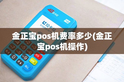 金正宝pos机费率多少(金正宝pos机操作)