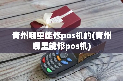 青州哪里能修pos机的(青州哪里能修pos机)