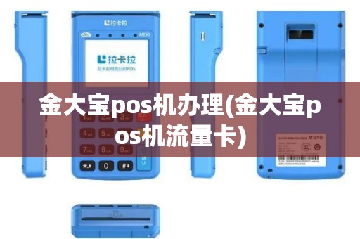 金大宝pos机办理(金大宝pos机流量卡)