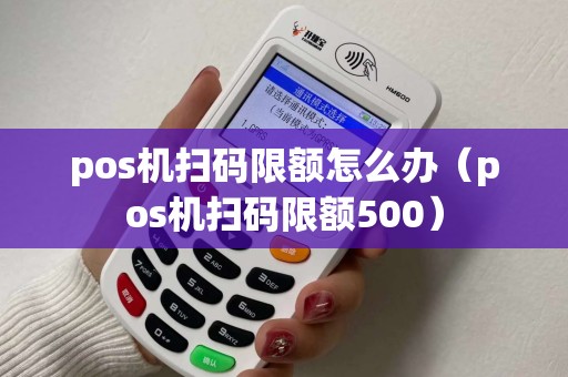 pos机扫码限额怎么办（pos机扫码限额500）