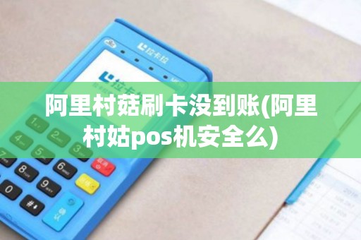 阿里村菇刷卡没到账(阿里村姑pos机安全么)
