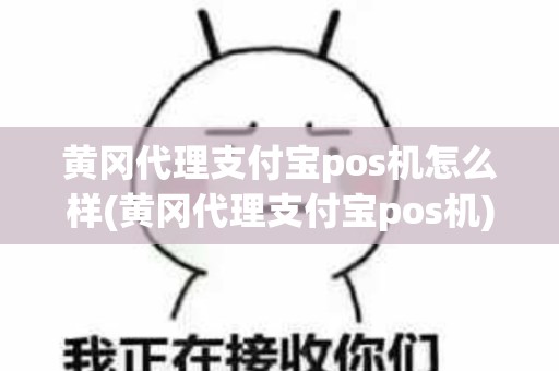 黄冈代理支付宝pos机怎么样(黄冈代理支付宝pos机)