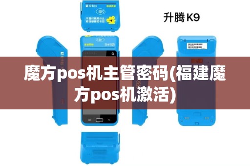 魔方pos机主管密码(福建魔方pos机激活)