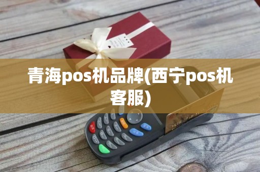 青海pos机品牌(西宁pos机客服)