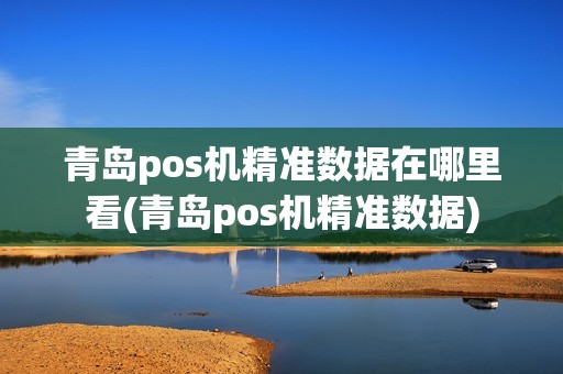 青岛pos机精准数据在哪里看(青岛pos机精准数据)