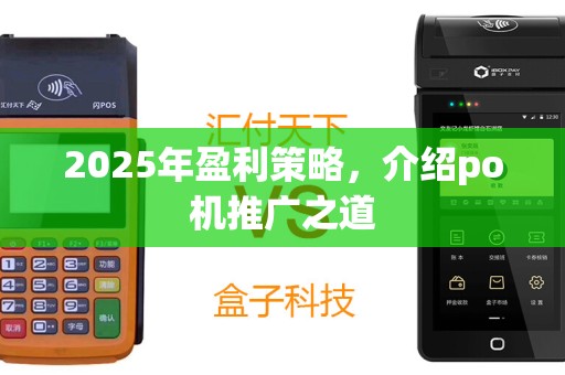 2025年盈利策略，介绍po机推广之道