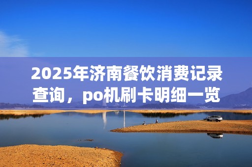 2025年济南餐饮消费记录查询，po机刷卡明细一览