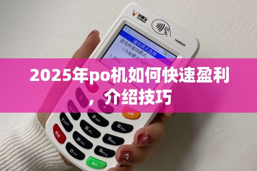 2025年po机如何快速盈利，介绍技巧