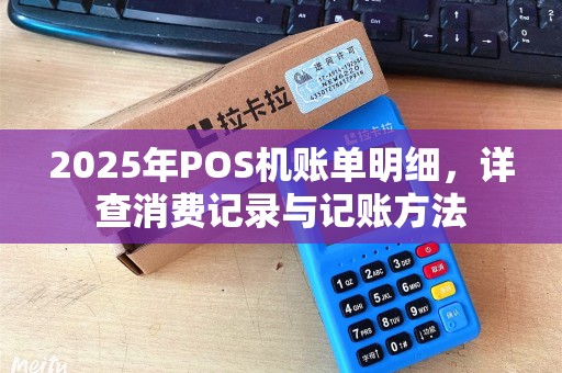 2025年POS机账单明细，详查消费记录与记账方法