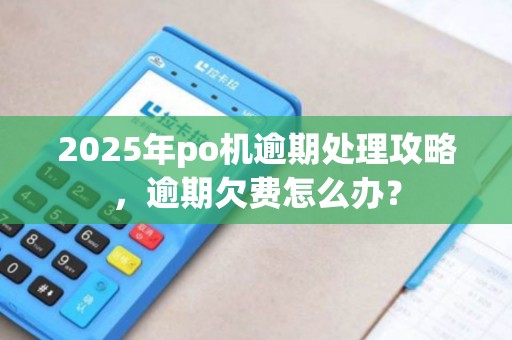 2025年po机逾期处理攻略，逾期欠费怎么办？