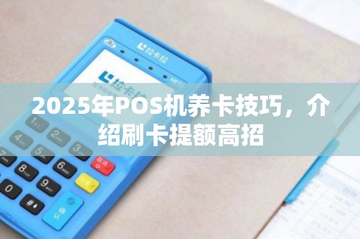 2025年POS机养卡技巧，介绍刷卡提额高招