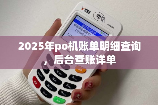 2025年po机账单明细查询，后台查账详单