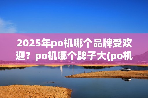 2025年po机哪个品牌受欢迎？po机哪个牌子大(po机大品牌)